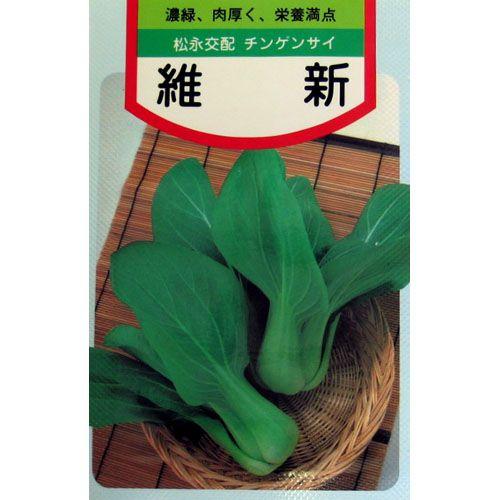 維新 (ちんげん菜 チンゲンサイの種) 小袋 約3ml ( 野菜の種 )