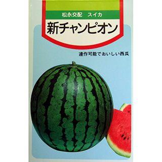 スイカの種 新チャンピオン 1.3ml ( 野菜の種 ) : 菜園くらぶ Yahoo!店