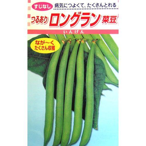 つるありインゲン豆の種 ロングラン菜豆 30ml ( 野菜の種 )