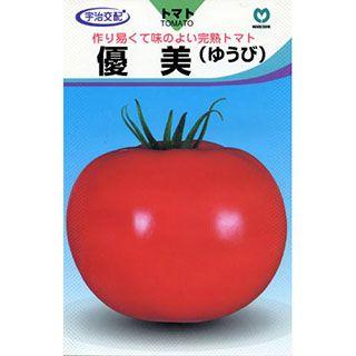 大玉トマトの種 優美 オープニング大放出セール 保障できる 野菜の種 約28粒