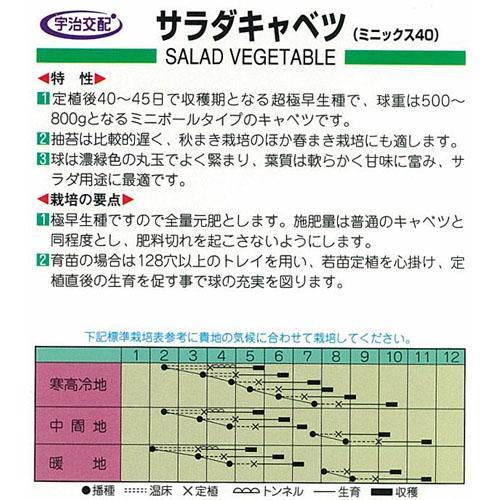 キャベツの種 サラダキャベツ 小袋 約70粒 ( 野菜の種 )｜saien-club｜02