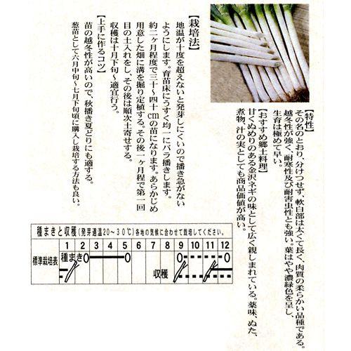 ネギの種 加賀一本太葱 小袋 約9ml ( 野菜の種 )｜saien-club｜02