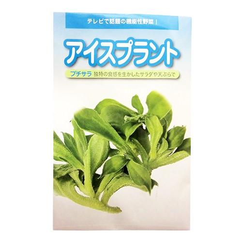新作アイテム毎日更新 アイスプラントプチサラ その他葉菜類の種 小袋 約コート60粒 野菜の種