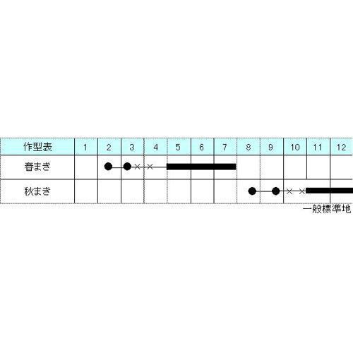 アイスプラントプチサラ その他葉菜類の種 1ml 野菜の種 菜園くらぶ Yahoo 店 通販 Yahoo ショッピング