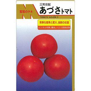 大玉トマトの種 あづさ 20ml ( 野菜の種 )