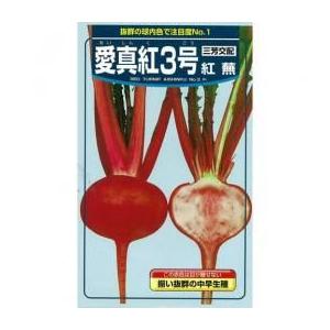 カブの種 愛真紅3号蕪 2dl缶 ( 野菜の種 )