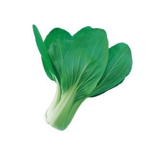 醍醐味 (ちんげん菜 チンゲンサイの種) 2dl缶 ( 野菜の種 )