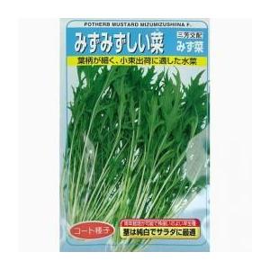 みずみずしい菜 (水菜、京菜の種) 2dl缶 ( 野菜の種 )