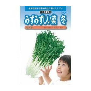 みずみずしい菜冬 (水菜、京菜の種) 2dl缶 ( 野菜の種 )