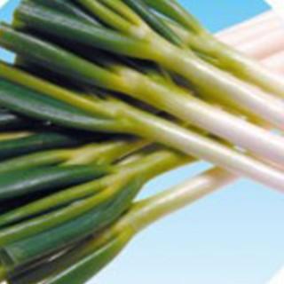 想像を超えての ネギの種 龍ひかり1号 1dl缶 野菜の種 在庫有 Technet 21 Org