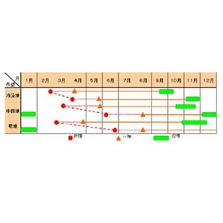 ネギの種 龍翔 (りゅうしょう) 2dl缶 ( 野菜の種 )
