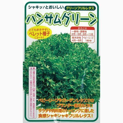 大人気 最短翌日お届け  【MLMR3U50FR7】 限定デザイン