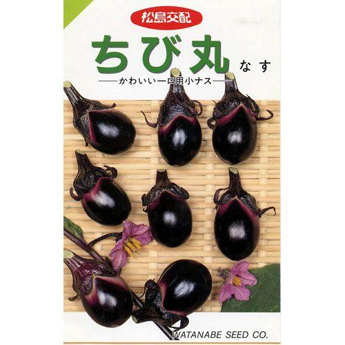 ちびナスページ 茄子の種 ちび丸 0.6ml ( 野菜の種 ) : 菜園くらぶ Yahoo!店 - 通販