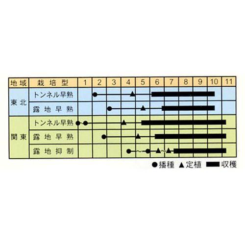 茄子の種 ちび丸 0.6ml ( 野菜の種 ) : 菜園くらぶ Yahoo!店 - 通販
