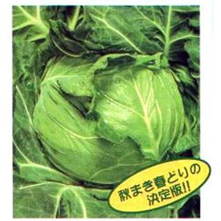 リピート多数 在庫あり MO1VR75Y1BV [MO1VR75Y1BV]