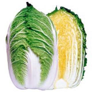 黄皇85 白菜の種 1dl 野菜の種 Apaproduction Fr