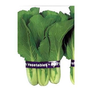 束ね菜白菜おばこ (白菜の種) 1dl ( 野菜の種 )の画像