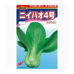 ニイハオ4号 (ちんげん菜 チンゲンサイの種) 2dl缶 ( 野菜の種 )