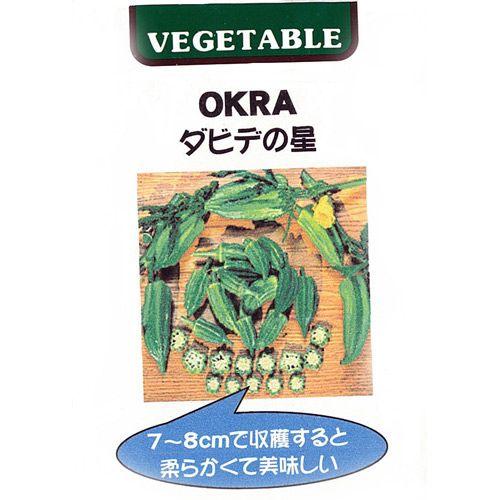 ダビデの星おくらの種(自然栽培) オクラの種 ダビデの星 小袋 約2ml(約20粒) ( 野菜の種 ) : 菜園
