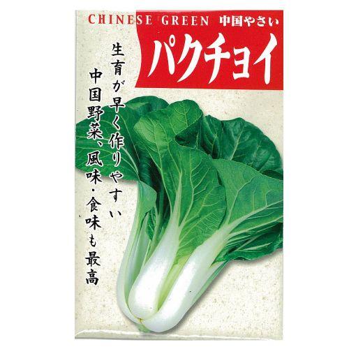 パクチョイ (その他葉菜類の種) 小袋 約1dl ( 野菜の種 ) : 菜園くらぶ