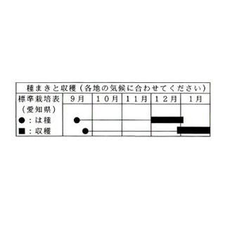 大根の種 方領 1L ( 野菜の種 )の画像