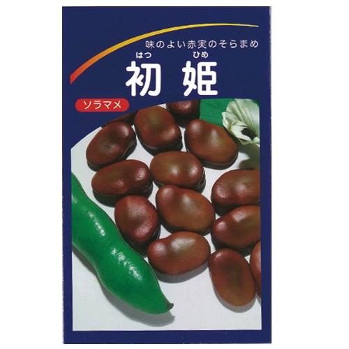 希少 レトロ レア 1988 N.D.I 野菜くらぶ 日本製 そらまめ そら豆の種 初姫 小袋（9粒） : 菜園くらぶ Yahoo!店 - 通販 - Yahoo