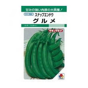 スナップエンドウの種 グルメ 野菜の種 1dl 登場大人気アイテム