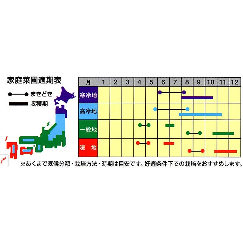 ダイコンの種 夏千楽 2dl ( 野菜の種 )の画像