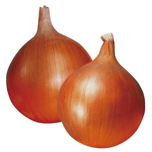 たまねぎの種 もみじ3号 小袋 ( 野菜の種 ) : 菜園くらぶ Yahoo たまねぎの種 もみじ3号 小袋 ( 野菜の種 ) : 菜園くらぶ Yahoo