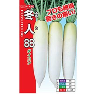 ダイコンの種 冬人88 2dl ( 野菜の種 )の画像
