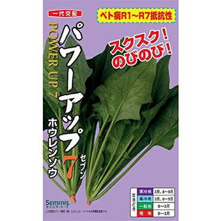 ほうれん草の種 パワーアップ7 1L ( 野菜の種 ) : 菜園くらぶ Yahoo!店 