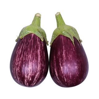 茄子の種 縞むらさき 9粒 ( 野菜の種 ) : 菜園くらぶ Yahoo!店 - 通販