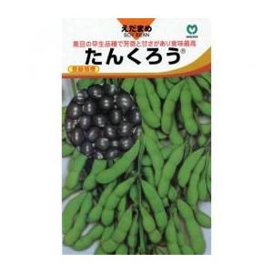 枝豆種 たんくろう ( えだまめの種 ) 小袋 約1dl 家庭菜園 ガーデニングにおすすめの 野菜種♪ ( 野菜の種 )｜saien-club