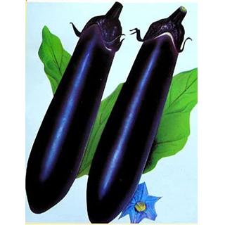 茄子の種 久留米茄子 20ml ( 野菜の種 ) : 菜園くらぶ Yahoo!店 - 通販