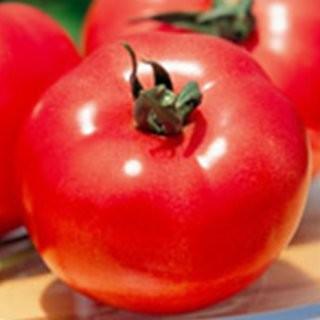 トマトの種 麗夏  実咲小袋 ( 野菜の種 ) | 