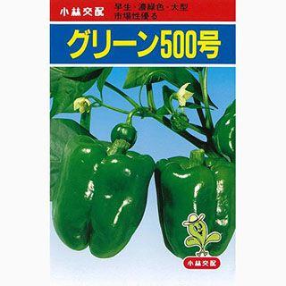 ハイクオリティ ピーマンの種 世界の ピーマン 1.2ml 野菜の種