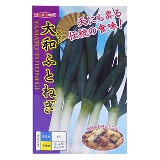 ぐれたく　ネギ種子10袋 ぐれたく様 専用 ネギ種子10袋 ねぎ 汐止晩生葱（裸種子） 2dl トキタ