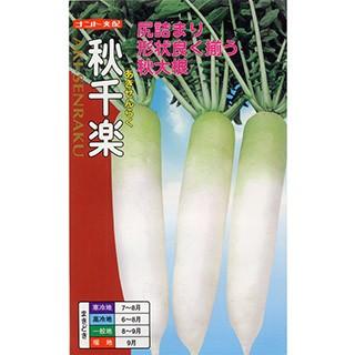 ダイコンの種 秋千楽 2dl ( 野菜の種 )