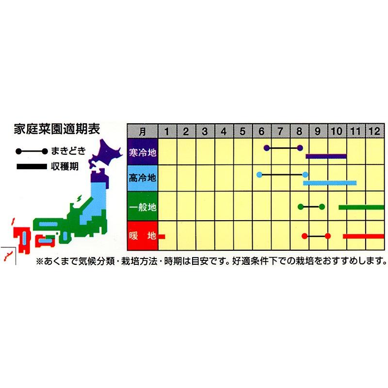 ダイコンの種 秋千楽 2dl ( 野菜の種 )の画像