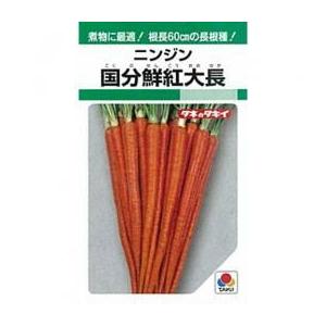 人参の種 国分鮮紅大長 小袋 約1dl 野菜の種 Yamavakedma Co Il