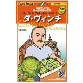 カリフラワーの種 ロマネスコ ダ ヴィンチ 小袋 約50粒 野菜の種 Belle Ile Nature
