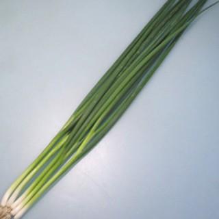 MUOTUHESQKZ 型番:MUOTUHESQKZ