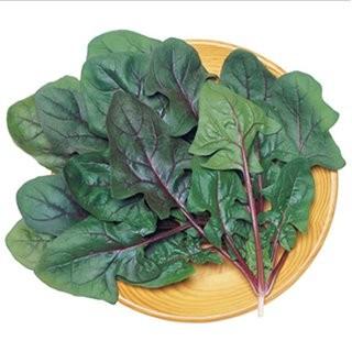 ほうれん草の種 早生サラダあかり 1L ( 野菜の種 ) : 菜園くらぶ Yahoo