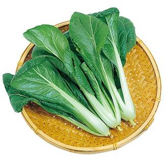 ビタミン菜 (その他葉菜類の種) 小袋 約1dl ( 野菜の種 )｜saien-club