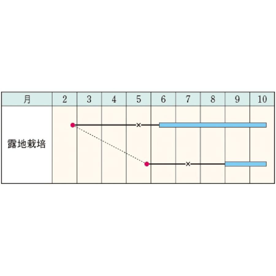 ナスの種 賀茂茄子 小袋｜saien-club｜02