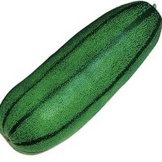 ツケウリの種 青大長縞瓜 500粒 ( 野菜の種 ) : 菜園くらぶ Yahoo!店 - 通販 - Yahoo!ショッピング
