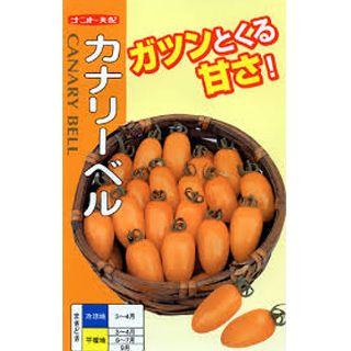 ミニトマトの種 カナリーベル 500粒 ( 野菜の種 )
