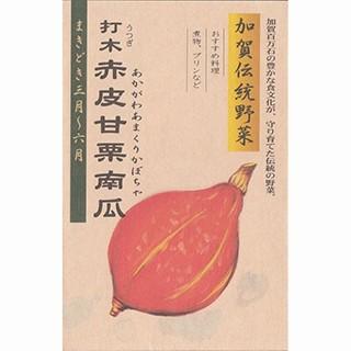 西洋カボチャの種 加賀蔬菜 打木赤皮甘栗西洋カボチャ 1L ( 蔬菜の種 )