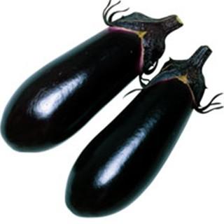 茄子の種 黒雄 2000粒 ( 蔬菜の種 )