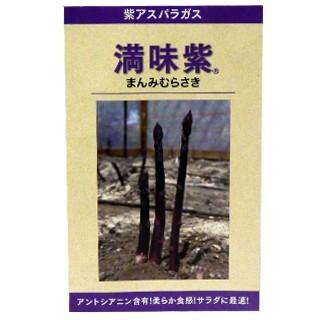 アスパラガスの種 満味紫 100粒 ( 野菜の種 ) : 菜園くらぶ Yahoo!店